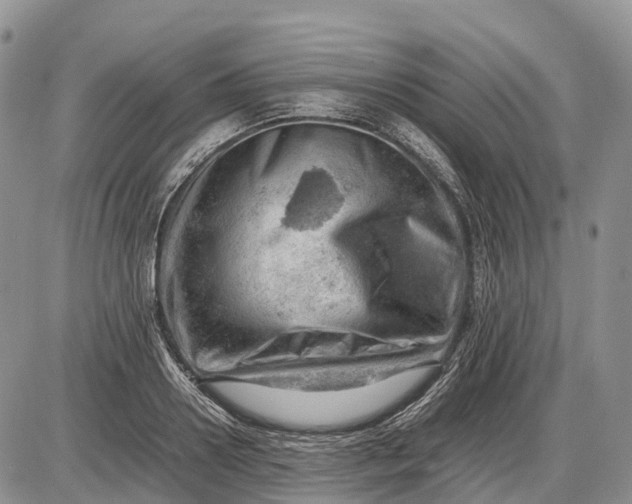 X0000085210938200703231503