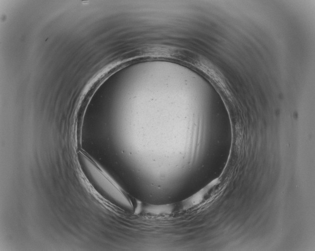 X0000085210939200703231503