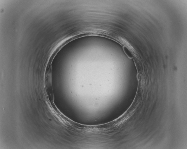 X0000085210940200703231503