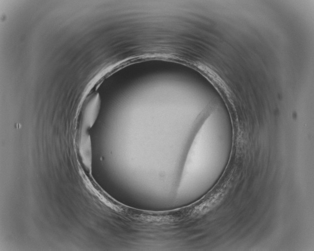 X0000085210941200703231503