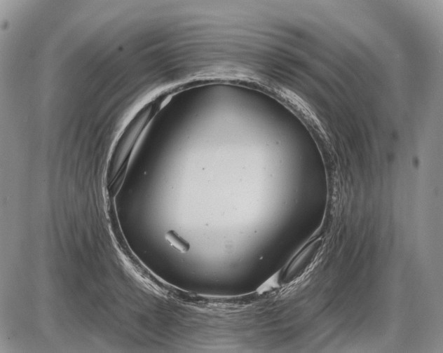 X0000085210942200703231503