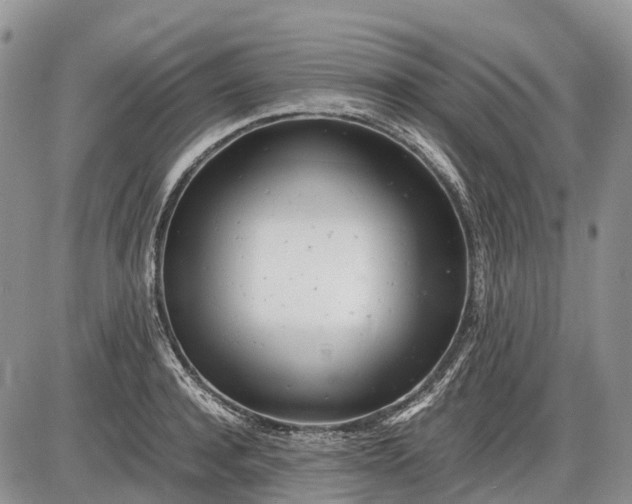 X0000085210944200703231503