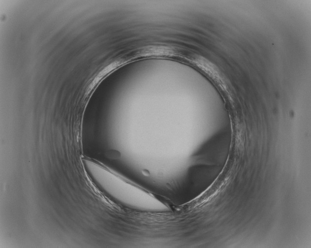 X0000085210945200703231503