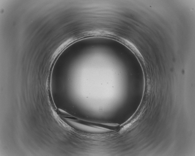 X0000085210946200703231503