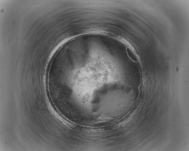 X0000085210947200703231503