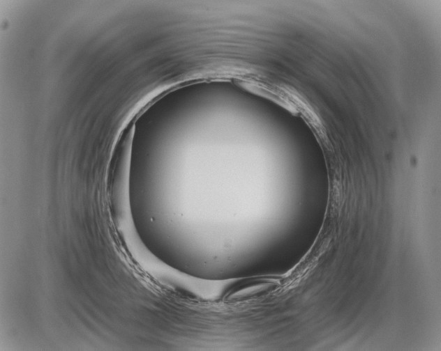 X0000085210948200703231503