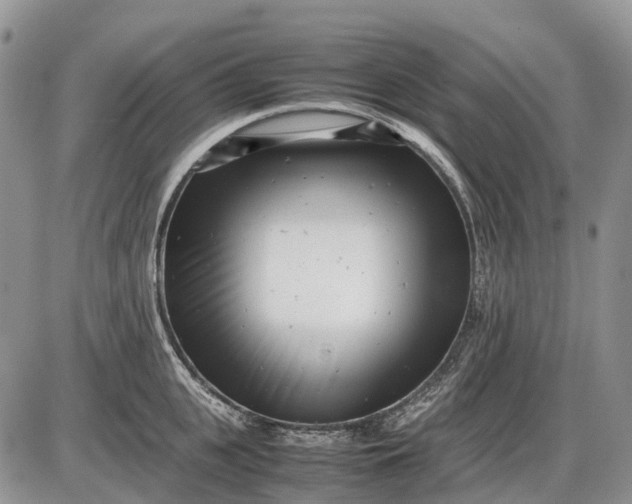 X0000085210951200703231503