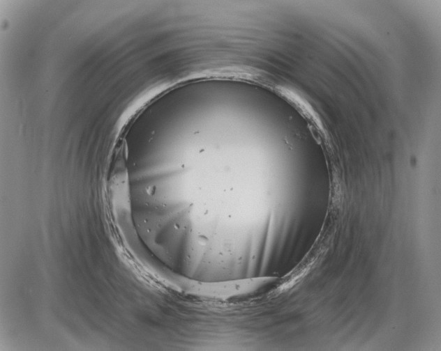 X0000085210952200703231503