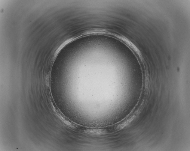 X0000085210953200703231503