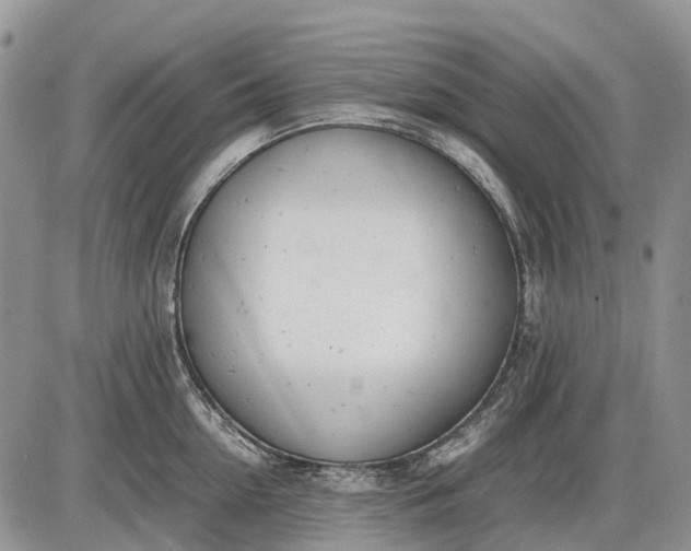 X0000085210954200703231503