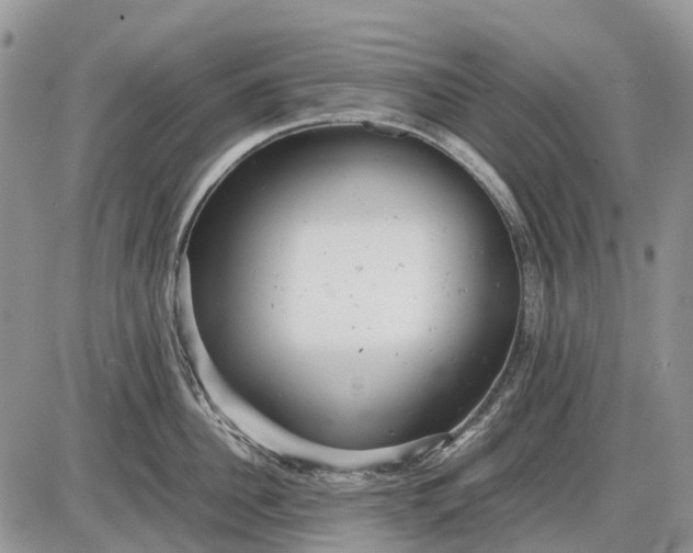 X0000085210956200703231503