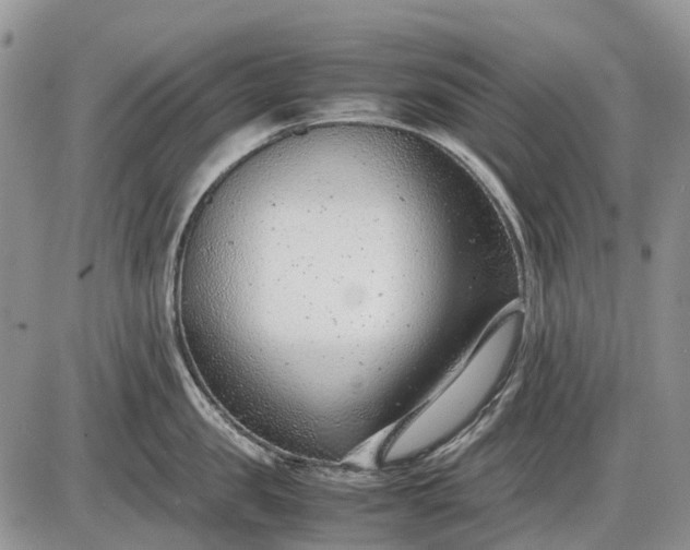 X0000085210957200703231503