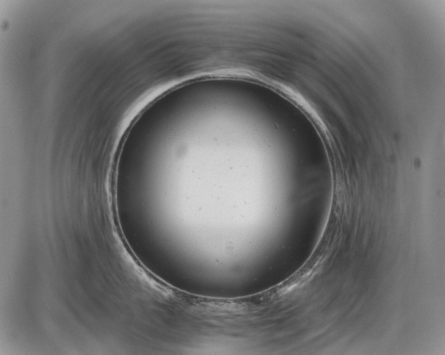 X0000085210959200703231503