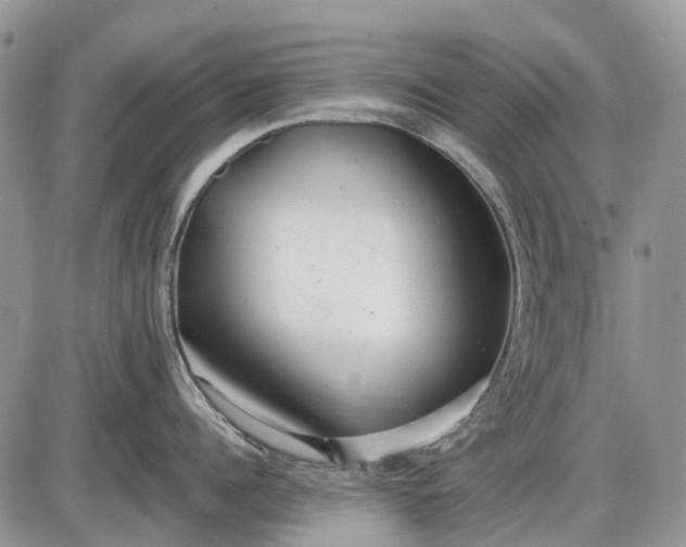 X0000085210960200703231504