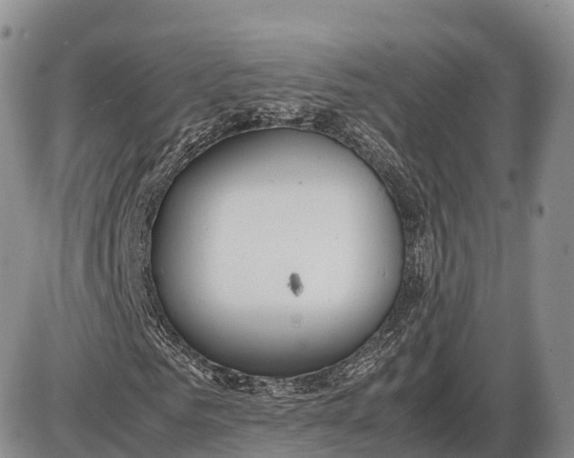 X0000085210961200703231503