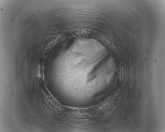 X0000085210962200703231503