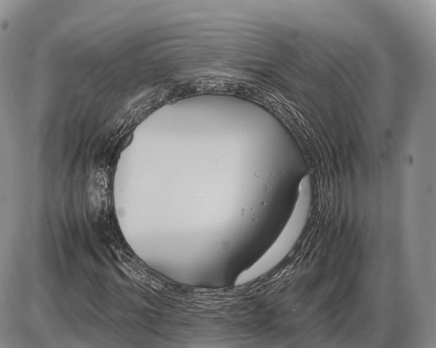 X0000085210964200703231503