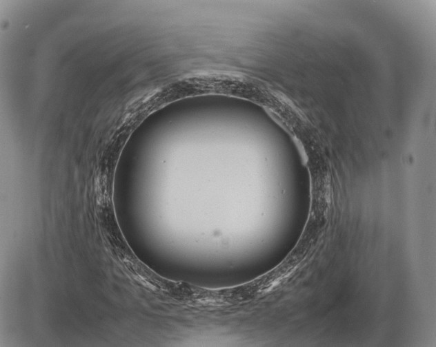 X0000085210965200703231503