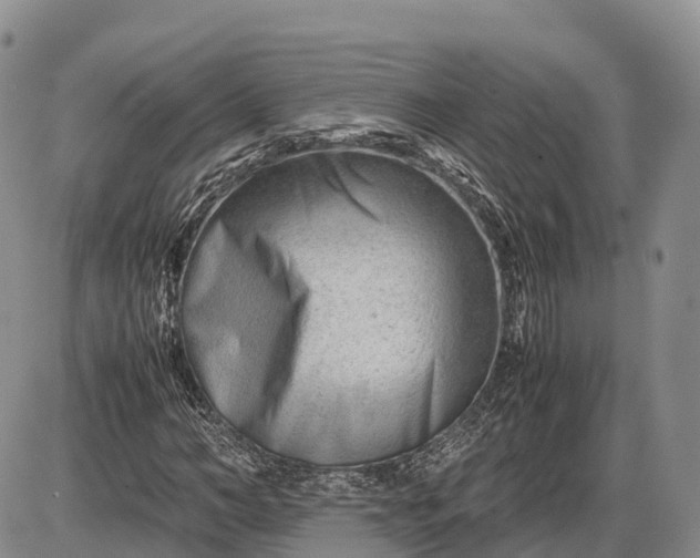 X0000085210966200703231503