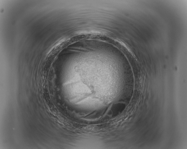 X0000085210967200703231503