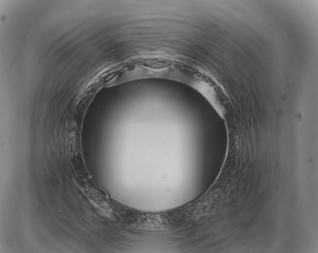 X0000085210968200703231503