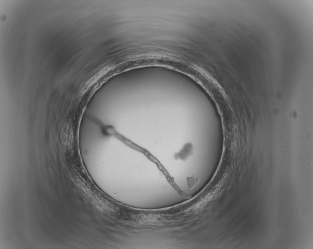 X0000085210969200703231503