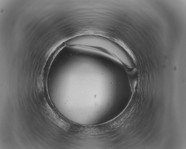 X0000085210972200703231503