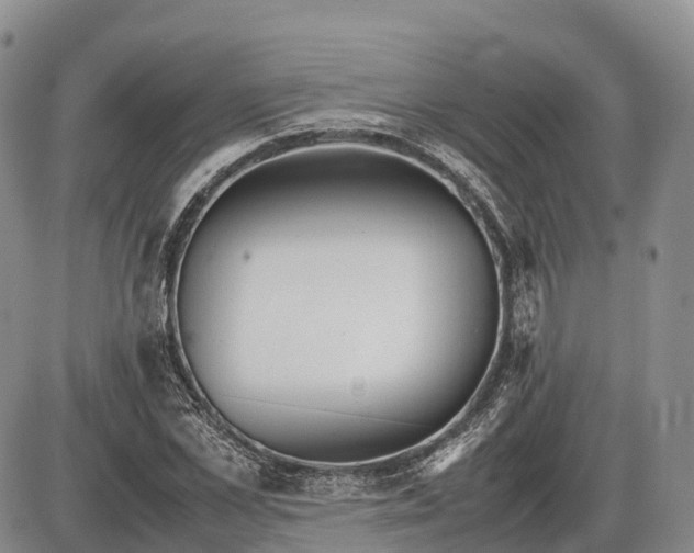 X0000085210973200703231503