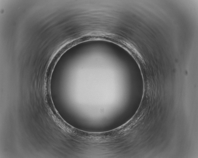 X0000085210976200703231502