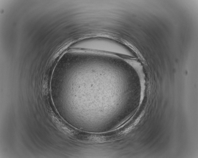 X0000085210977200703231502