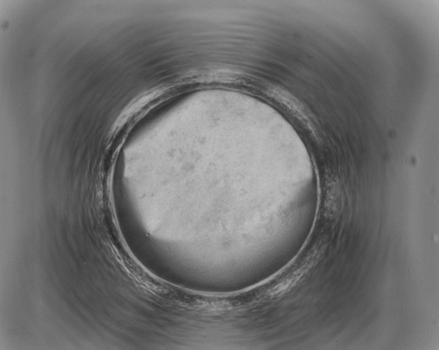 X0000085210978200703231502