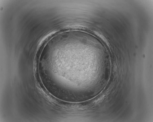 X0000085210979200703231502