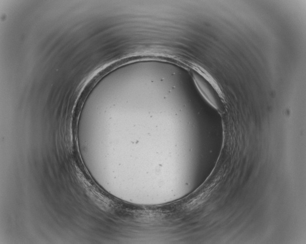 X0000085210980200703231502