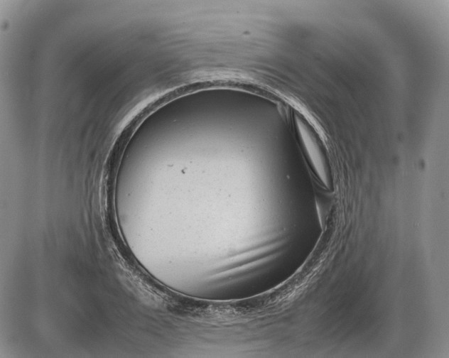 X0000085210983200703231502