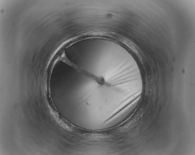 X0000085210984200703231502