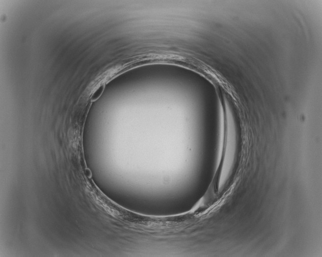 X0000085210985200703231502