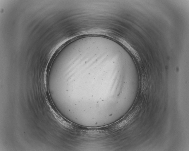 X0000085210988200703231502