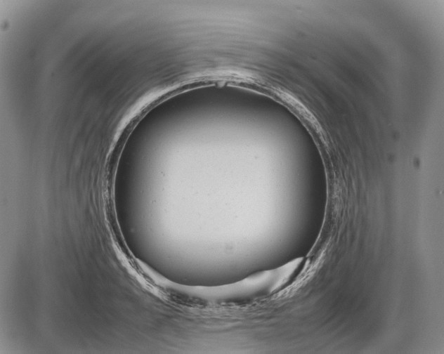 X0000085210989200703231502