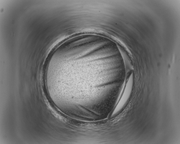 X0000085210991200703231502