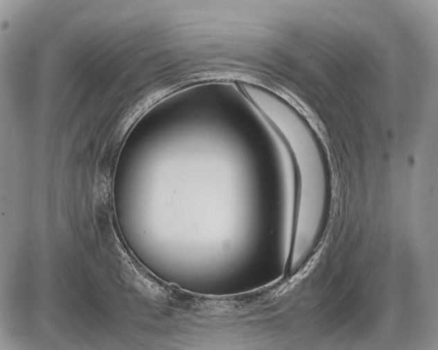 X0000085210993200703231502