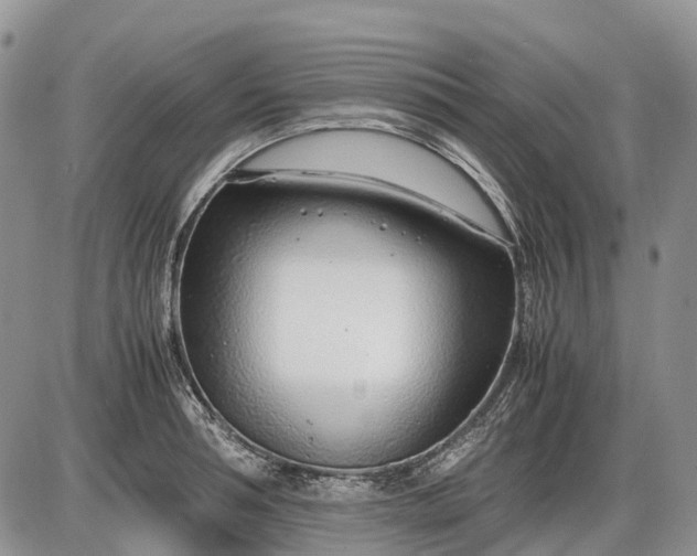 X0000085210994200703231502