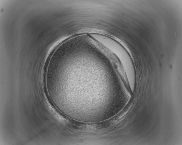 X0000085210995200703231502