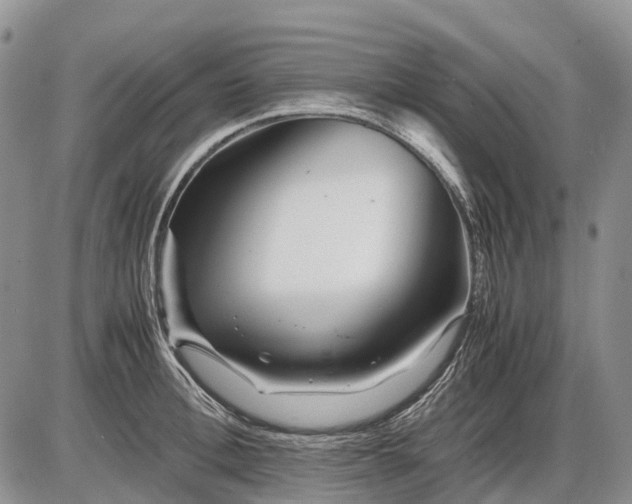 X0000085210996200703231502