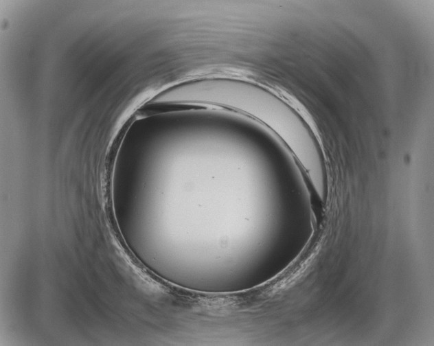 X0000085210997200703231502