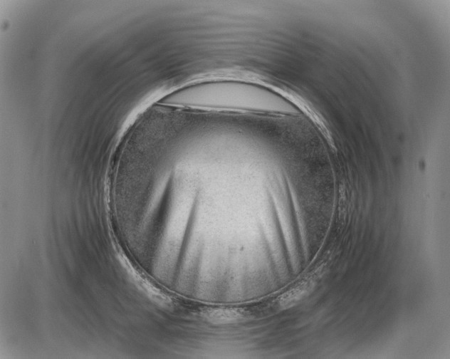 X0000085210998200703231502