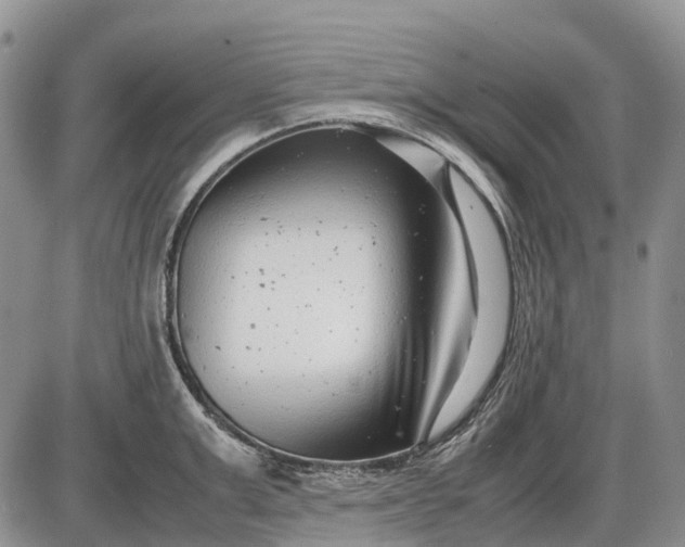 X0000085210999200703231502