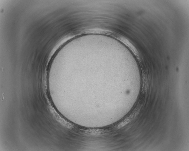 X0000085211000200703231502