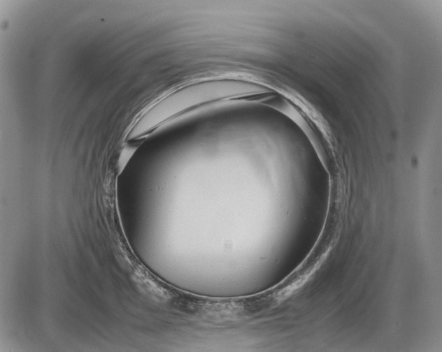 X0000085211001200703231502