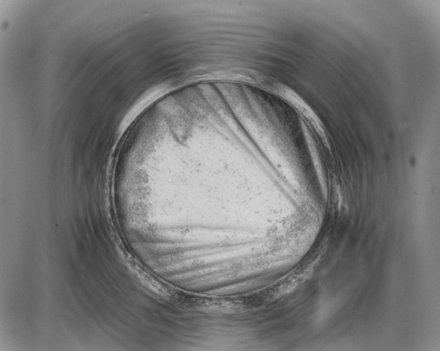 X0000085211002200703231502