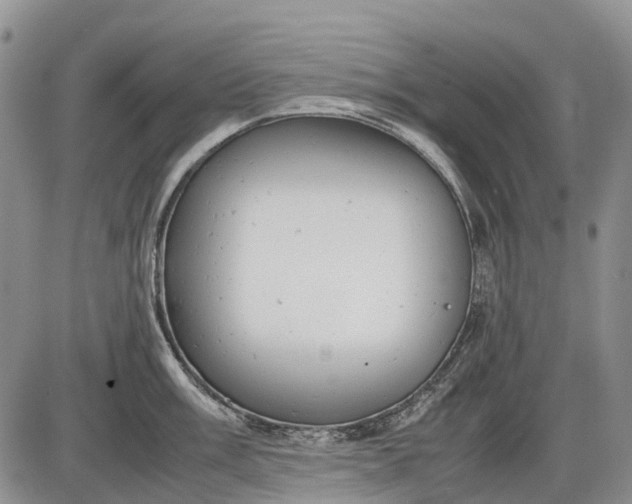 X0000085211003200703231502